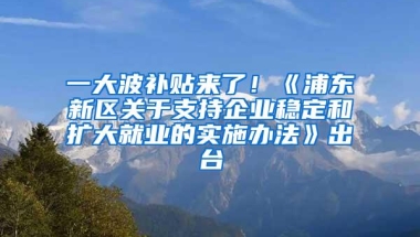 一大波补贴来了！《浦东新区关于支持企业稳定和扩大就业的实施办法》出台