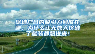 深圳户口的吸引力到底在哪，为什么让无数人挤破了脑袋都想进来！