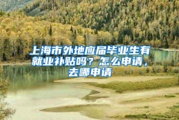 上海市外地应届毕业生有就业补贴吗？怎么申请，去哪申请