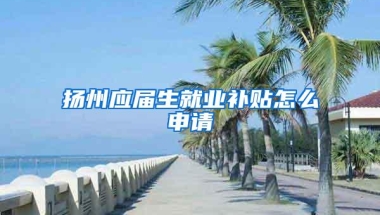 扬州应届生就业补贴怎么申请