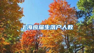 上海应届生落户人数