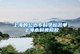 上海的公办专科学校名单 上海本科类院校