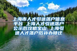 上海市人才引进落户信息平台 上海人才引进落户公示后攻略宝山 上海引进人才落户后补办随迁