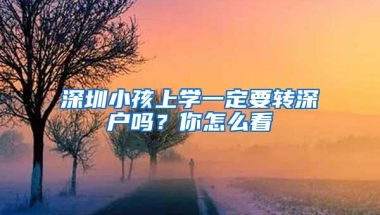 深圳小孩上学一定要转深户吗？你怎么看