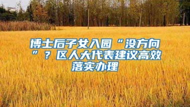 博士后子女入园“没方向”？区人大代表建议高效落实办理