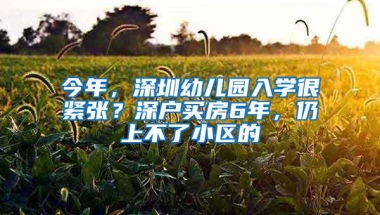 今年，深圳幼儿园入学很紧张？深户买房6年，仍上不了小区的