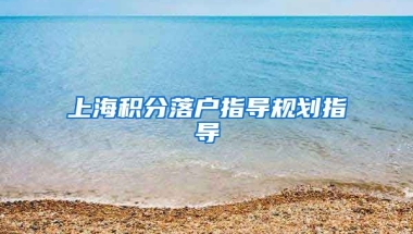 上海积分落户指导规划指导