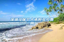 深圳社保个人承担多少费用