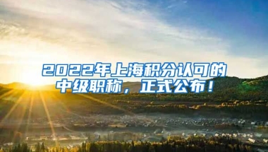 2022年上海积分认可的中级职称，正式公布！