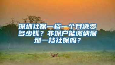 深圳社保一档一个月缴费多少钱？非深户能缴纳深圳一档社保吗？