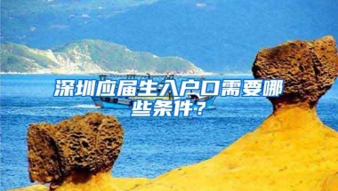 深圳应届生入户口需要哪些条件？