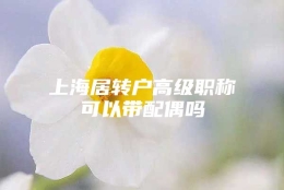 上海居转户高级职称可以带配偶吗