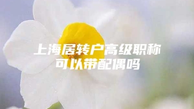 上海居转户高级职称可以带配偶吗