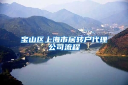 宝山区上海市居转户代理公司流程