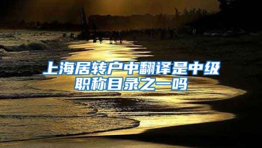 上海居转户中翻译是中级职称目录之一吗