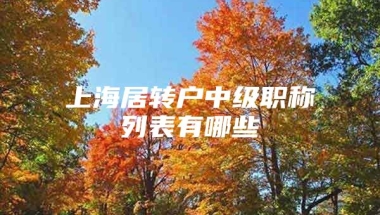 上海居转户中级职称列表有哪些