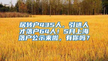 居转户435人，引进人才落户64人！5月上海落户公示来啦，有你吗？