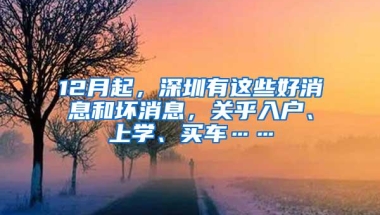 12月起，深圳有这些好消息和坏消息，关乎入户、上学、买车……