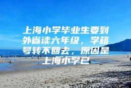 上海小学毕业生要到外省读六年级，学籍号转不回去，原因是上海小学已