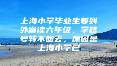 上海小学毕业生要到外省读六年级，学籍号转不回去，原因是上海小学已