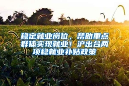 稳定就业岗位，帮助重点群体实现就业！沪出台两项稳就业补贴政策