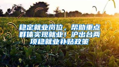 稳定就业岗位，帮助重点群体实现就业！沪出台两项稳就业补贴政策