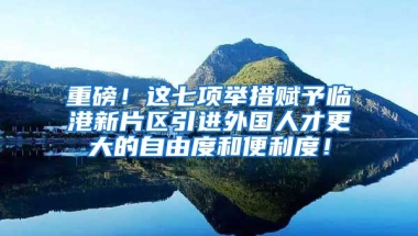 重磅！这七项举措赋予临港新片区引进外国人才更大的自由度和便利度！