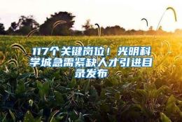 117个关键岗位！光明科学城急需紧缺人才引进目录发布