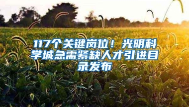 117个关键岗位！光明科学城急需紧缺人才引进目录发布