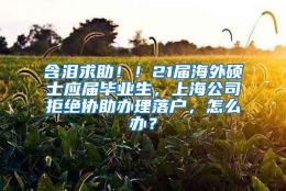 含泪求助！！21届海外硕士应届毕业生，上海公司拒绝协助办理落户，怎么办？