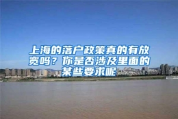 上海的落户政策真的有放宽吗？你是否涉及里面的某些要求呢