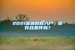 2021深圳秒批入户，你符合条件吗？