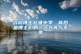 名校博士扎堆中学，背后是博士们的三六九等与无奈