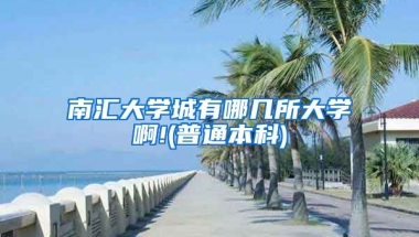 南汇大学城有哪几所大学啊!(普通本科)