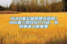 1600套公租房明天选房！186套三房仅6户入选，共同申请人很重要