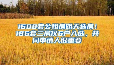 1600套公租房明天选房！186套三房仅6户入选，共同申请人很重要