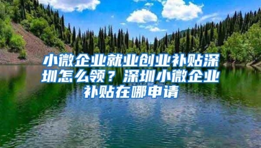 小微企业就业创业补贴深圳怎么领？深圳小微企业补贴在哪申请