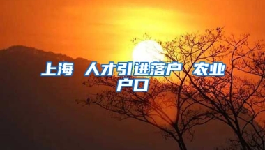 上海 人才引进落户 农业户口