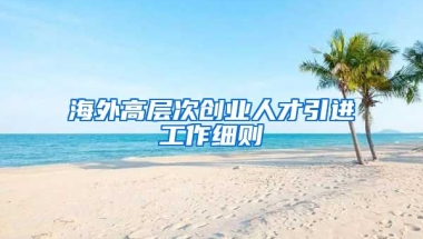 海外高层次创业人才引进工作细则