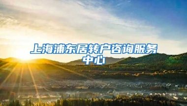 上海浦东居转户咨询服务中心