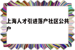 上海人才引进落户社区公共户(上海人才引进落户社区公共户地址)