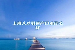 上海人才引进户口本什么样