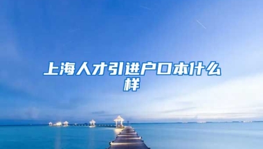 上海人才引进户口本什么样