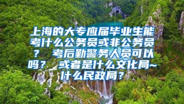 上海的大专应届毕业生能考什么公务员或非公务员？ 考后勤警务人员可以吗？ 或者是什么文化局~什么民政局？