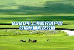 2020年上海积分落户加分指标细则及分值