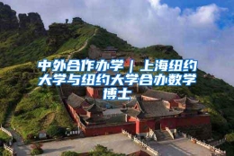 中外合作办学｜上海纽约大学与纽约大学合办数学博士