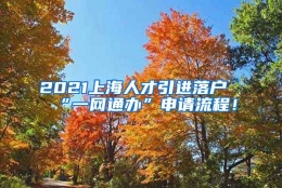 2021上海人才引进落户“一网通办”申请流程！