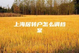 上海居转户怎么调档案