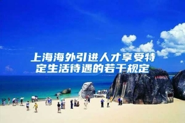 上海海外引进人才享受特定生活待遇的若干规定