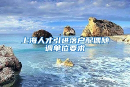 上海人才引进落户配偶随调单位要求